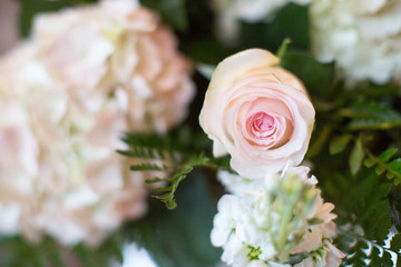 Wedding Flowers
