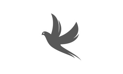 Flying bird logo