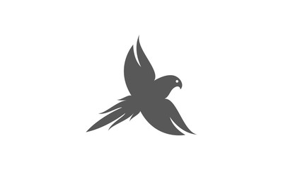 Flying bird vector