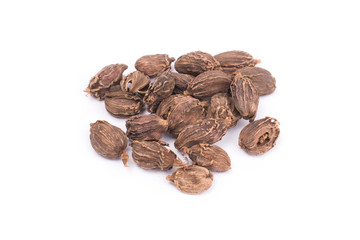 Black cardamom whole seeds isolated on white background. Indian spice