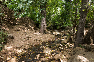 Amud Stream Nature Reserve in Northern Israel