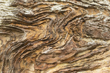 Sandstone Rock Texture