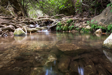 Amud Stream Nature Reserve in Northern Israel