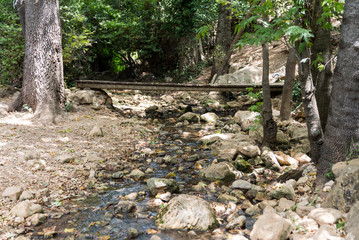 Amud Stream Nature Reserve in Northern Israel