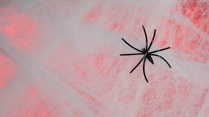 Halloween background concept. Detail of black spider on cobweb and red backdrop.