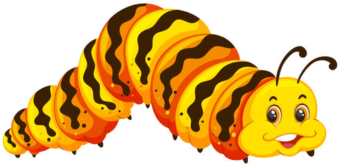 A caterpillar on white background