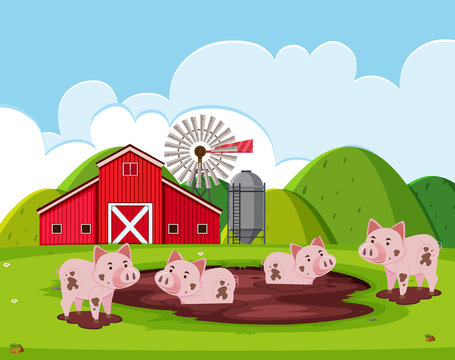 A pig farm landscape
