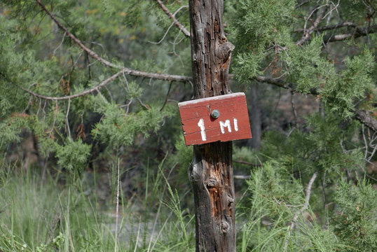 1-mile marker in a forest