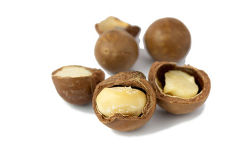 Macadamia fruit  isolated on the white background
