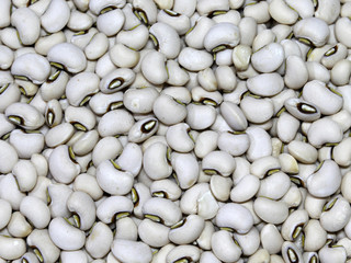 White bean background