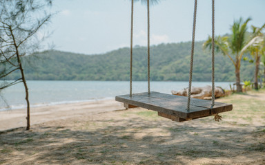 Sea view with lonely wooden swing on sandy beach.  And Coconut tree with mountain, sky background.