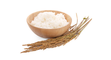Paddy rice isolated on white background