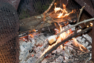 Marshmallow roasting on open fire in fire pit closeup. Nobody.