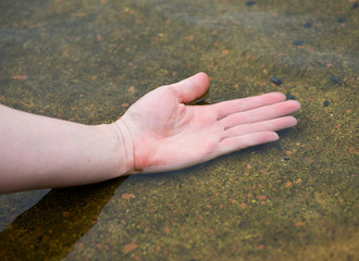 Close up of female hand touching water surface in botanic garden pond.