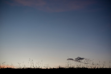Silhouette of a landscape - outdoors