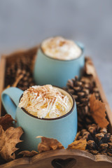 Autumn still life from tray full of pumpkin, leaves, cones, two mug of cocoa, coffee or hot chocolate with whipped cream pumpkin latte on concrete background. Concept warm home comfort.
