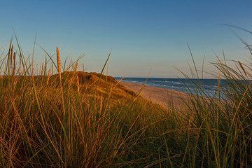 Obraz premium Sonnenuntergang in den Dühnen an der dänischen Nordsee