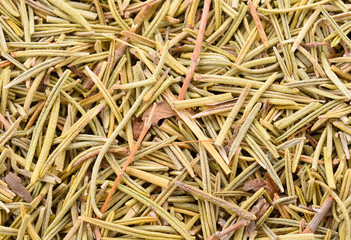 dried rosemary isolated on white background