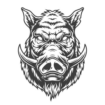 Boar head in black and white color style