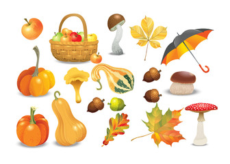 Set of autumn objects. Pumpkins different types, mushrooms, umbrella, apples, acorns and leaves. Vector illustration collection.