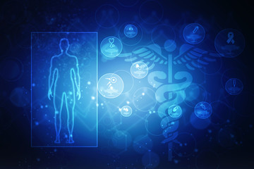 2d illustration Human Male Muscle Body