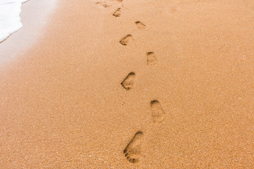 Fototapeta na wymiar Footprints in the sand nature background