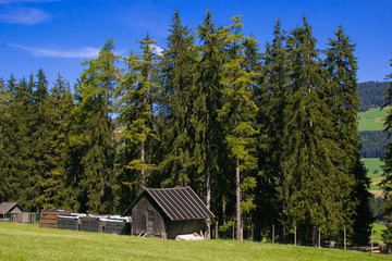 Capanna in legno nel bosco
