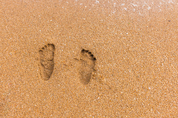 Footprints in the sand with sea nature background