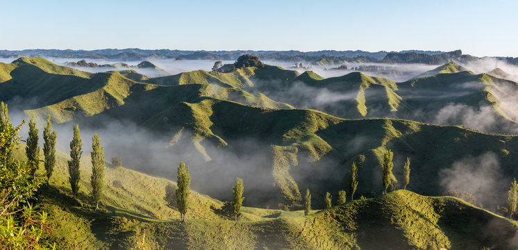 Landscape from the Tahora Saddle in Taranaki, New Zealand, at dawn showing the green hilly farmland, a row of poplar trees and mist in the valleys.