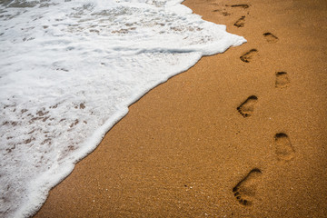 Footprints in the sand with sea nature background