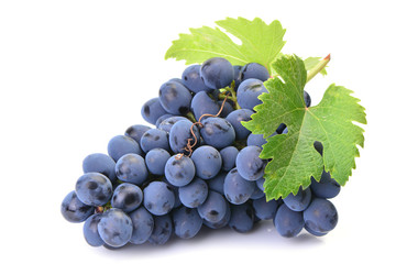 Grapes on a white background