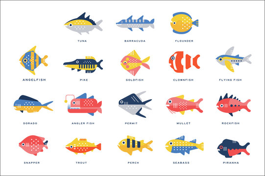 Collection of sea and river fish and lettering name in English vector Illustrations