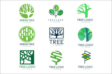 Fototapeta Green tree logo original design set of vector Illustrations in green colors obraz