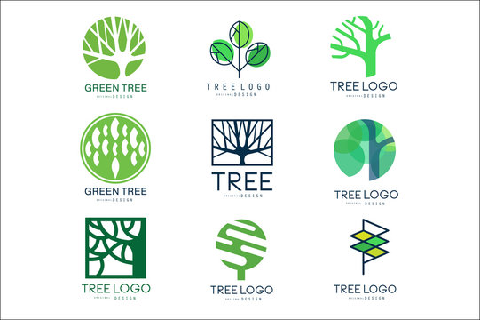Green tree logo original design set of vector Illustrations in green colors