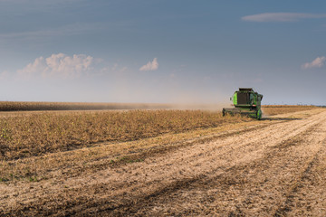Fototapeta premium Harvesting of soybean field with combine
