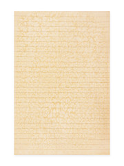 Fototapeta premium rough beige paper Isolated on white background .grunge background texture for design