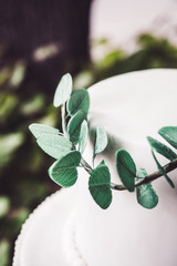 White wedding cake with leaves
