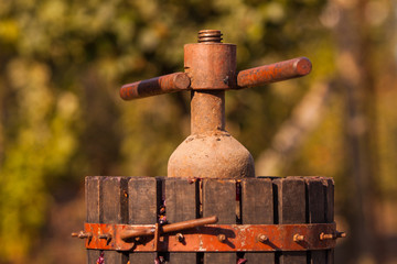 Homemade ecological wine production on the farm
