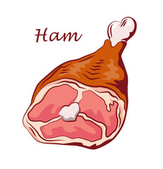 Ham hock. Pork knuckle isolated on white background. Meat on the bone. Colored image with contour. Vector illustration. Icon, emblem, logo element.