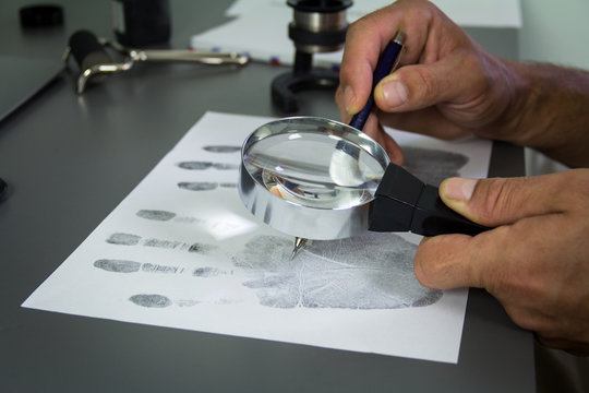 The investigation of the crime. The forensic expert studies the fingerprints taken of a suspect, with the help of a magnifier