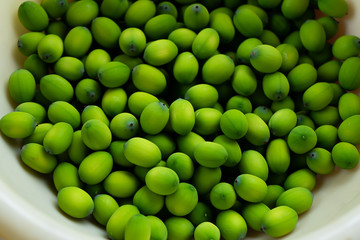 Close up seeds of lotus plant.