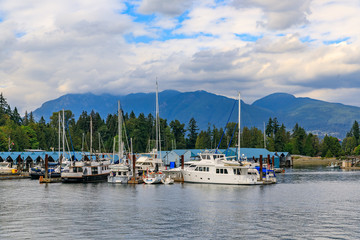 Fototapeta premium Boats docked at Coal Harbor in Vancouver Canada with Stanley Park and Grouse Mountain in the background