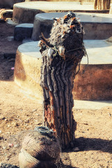 Chicken Feathers And Animal Bones Cover A Shrine Dedicated To The Ancestors, Ghana
