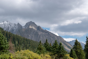Obraz premium Fall Colours in Kananaskis Country, Alberta, Canada.