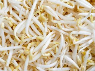 food background texture mung bean sprout