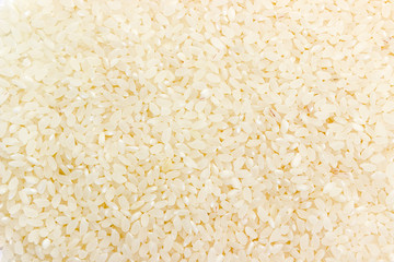 Background of the uncooked white rice