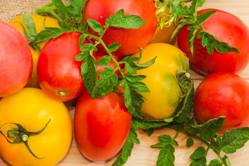 Fototapeta na wymiar Background of yellow and red tomatoes with leaves and flowers