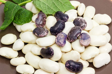 Raw large purple speckled and white kidney beans close-up
