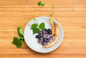 Purple speckled kidney beans with stem and pods on saucer