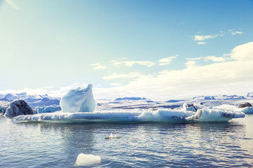 jokulsarlon blue lagoon panorama with icebergs